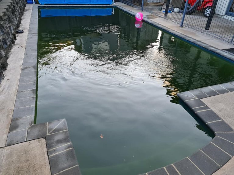 Swimming and Spa Pool Valet Auckland PMC